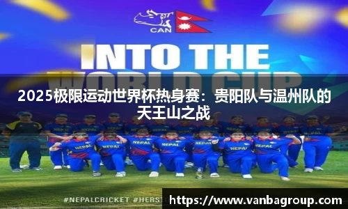 乐球直播免费在线观看