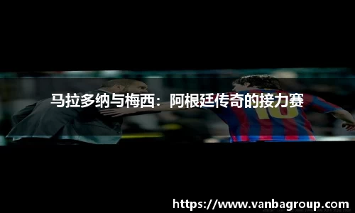 乐球直播在线观看免费观看